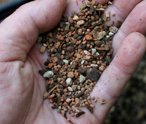 bonsai soil mix deciduous trees