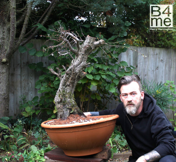 BEST SOIL/SUBSTRAT FOR YOUR BONSAI 