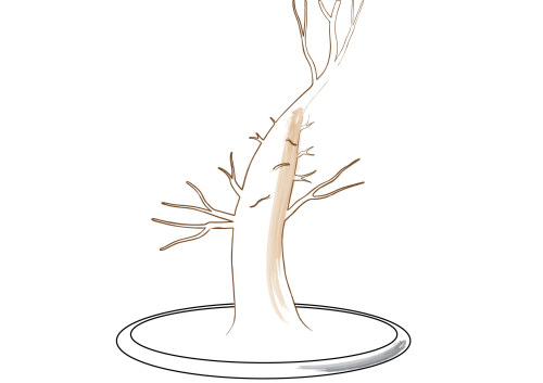 bonsai branches
