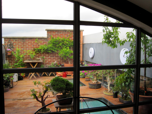 roof-top garden