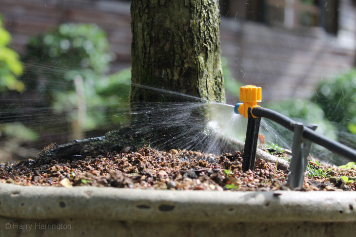 micro sprinkler for bonsai