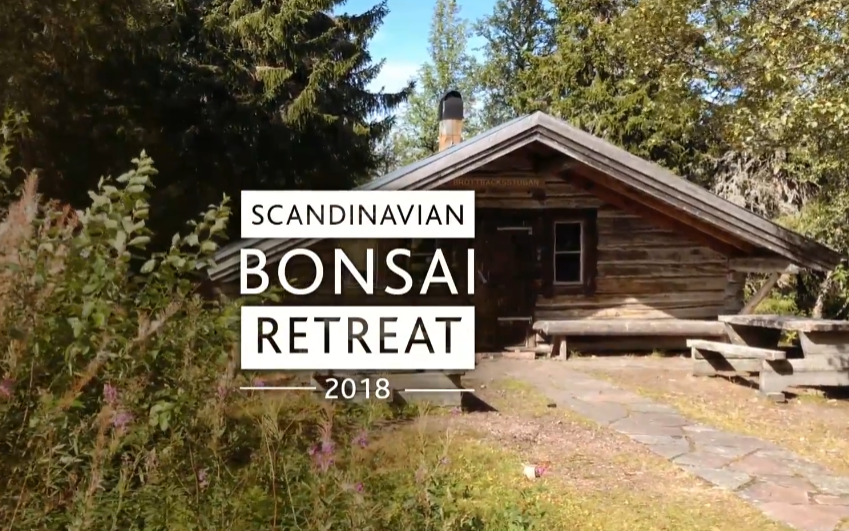 Scandinavian Bonsai Retreat Sweden 2018