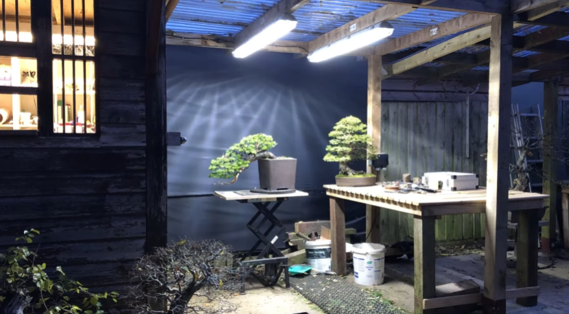 Bonsai Garden In Winter : Behind The Scenes Part Three
