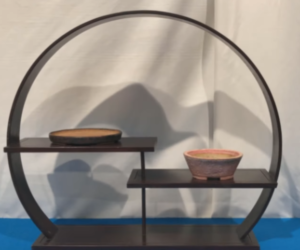 The Bonsai Pot Display at The Trophy, March 2020