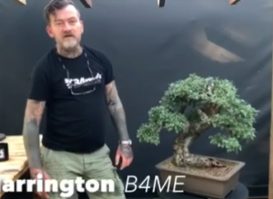 Bonsai Artist Harry Harrington Interview / Hawthorn Bonsai