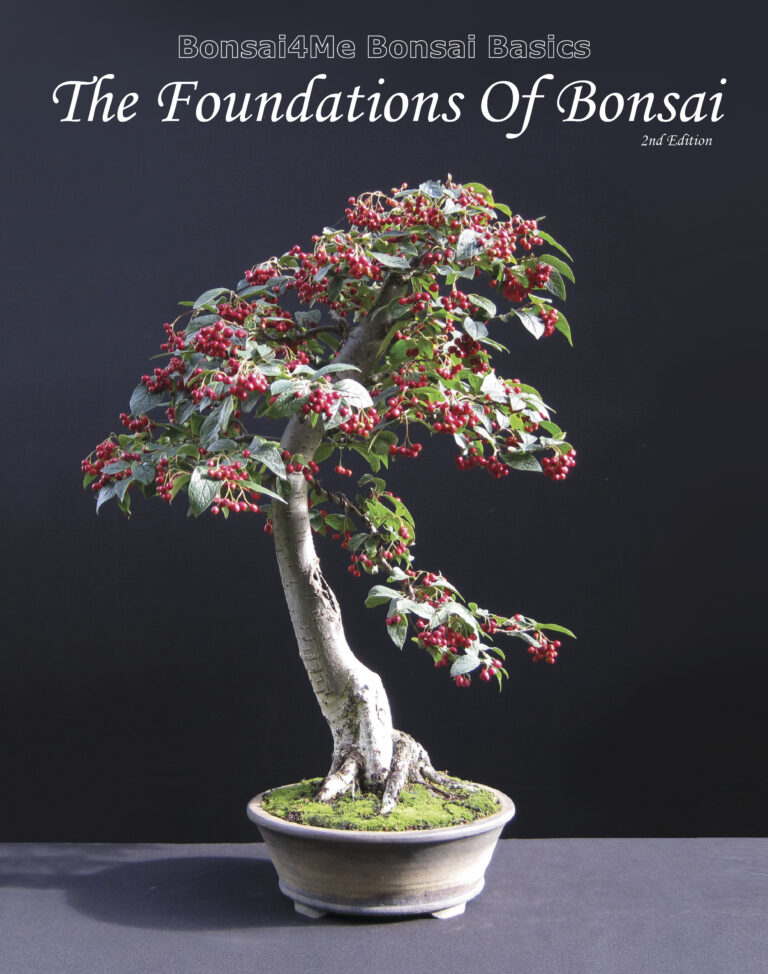 Bonsai book Foundations Of Bonsai