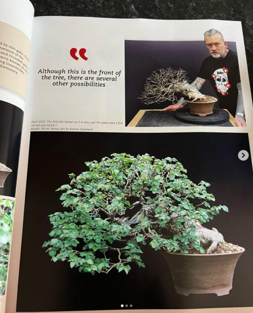 8 pages in the latest Bonsai Focus magazine