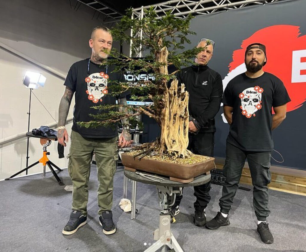 My demo this morning at the BonsaiLive Show in Telford, working the large Yew bonsai, assisted by Syed Abbass and Sean Stolp