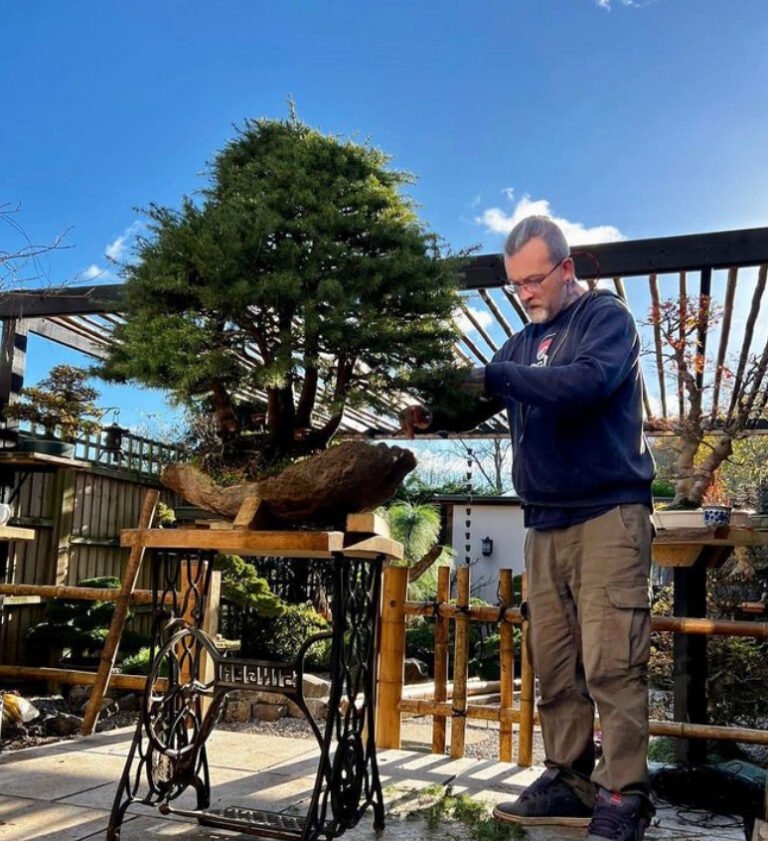 a catch-up with this big Cedar forest