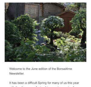 Bonsai4me Bonsai Newsletter