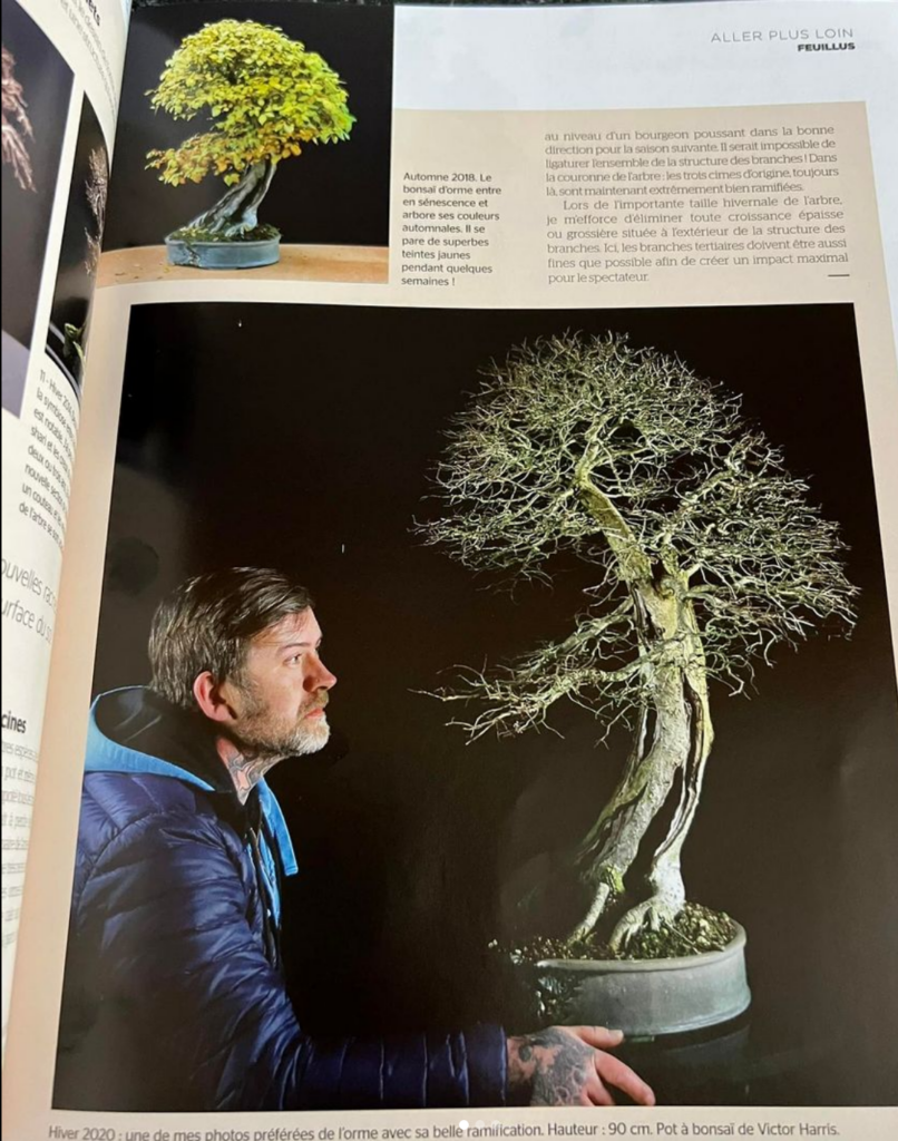 Esprit bonsai magazine