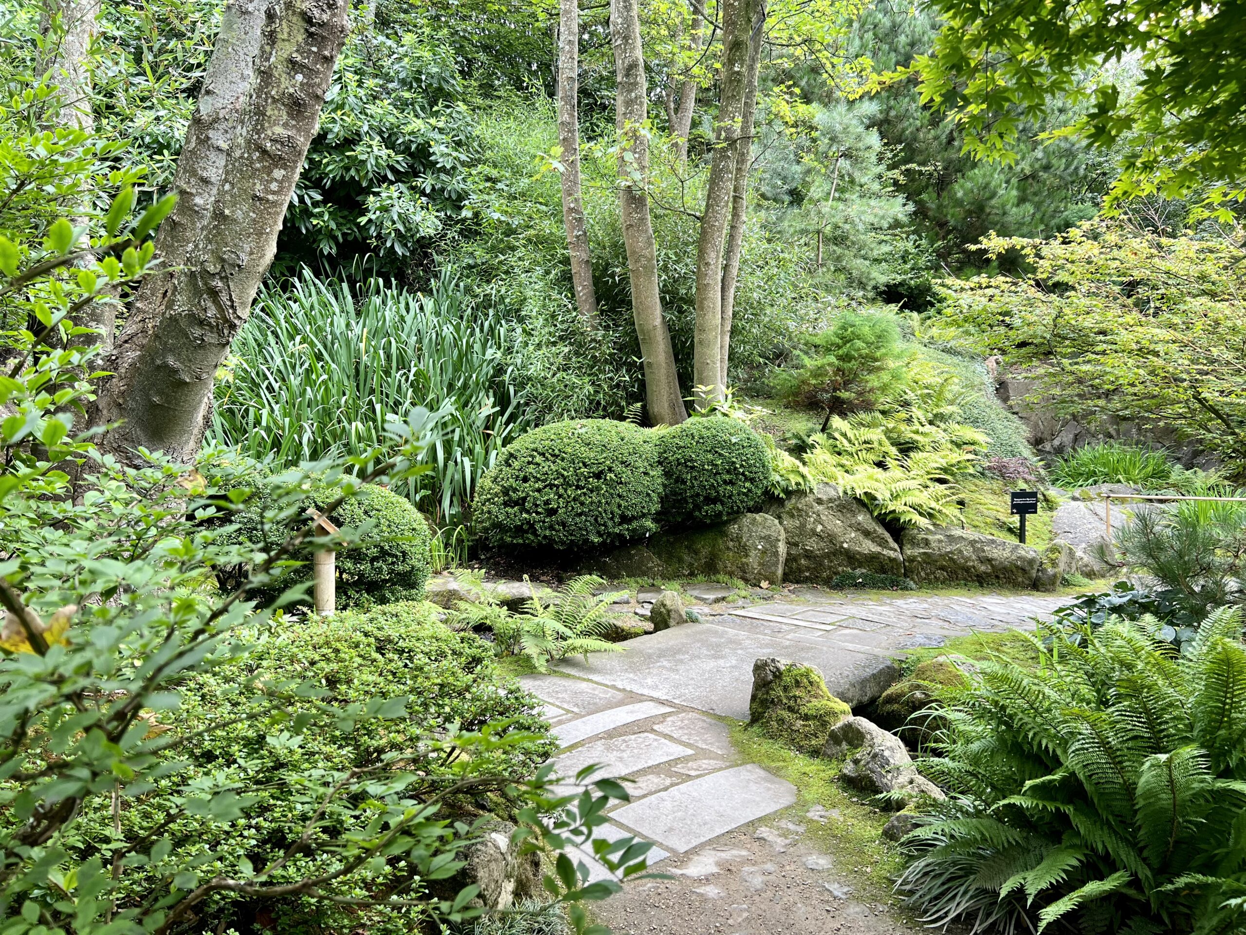 Japanese Garden Ireland