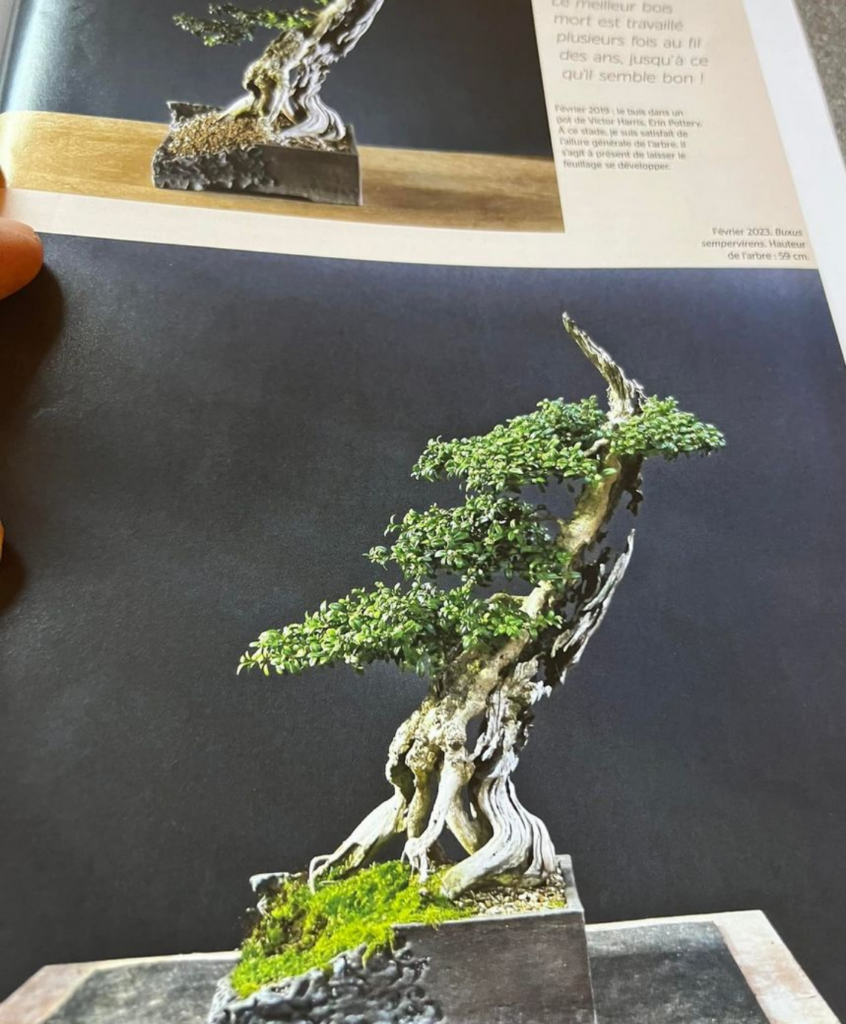French bonsai magazine ‘Esprit Bonsai’ (#127)