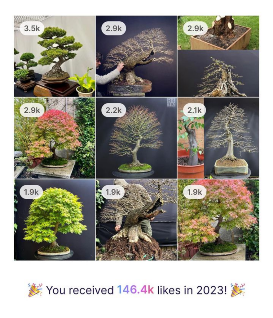 “Top Nine” favourite images from 2023