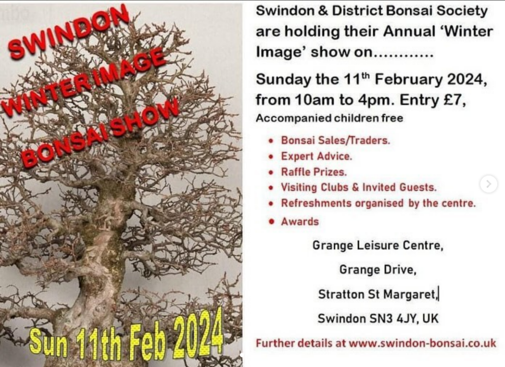 Swindon ‘Winter Image’ show 2024