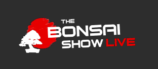 bonsai show live 2024